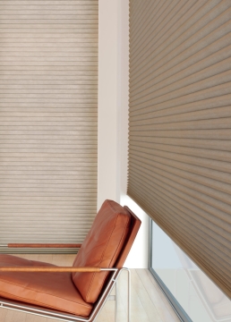shade_culture_cellular_009