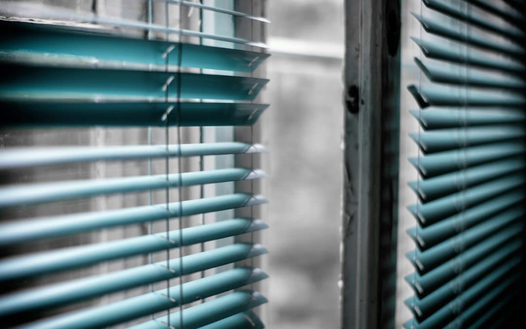 The Best Window Shades for Privacy and Light Control