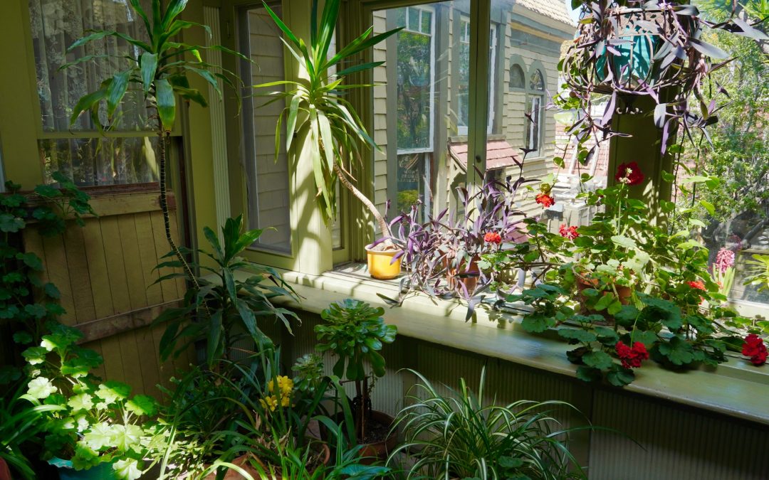 Best Window Shades for Rooms with High Humidity