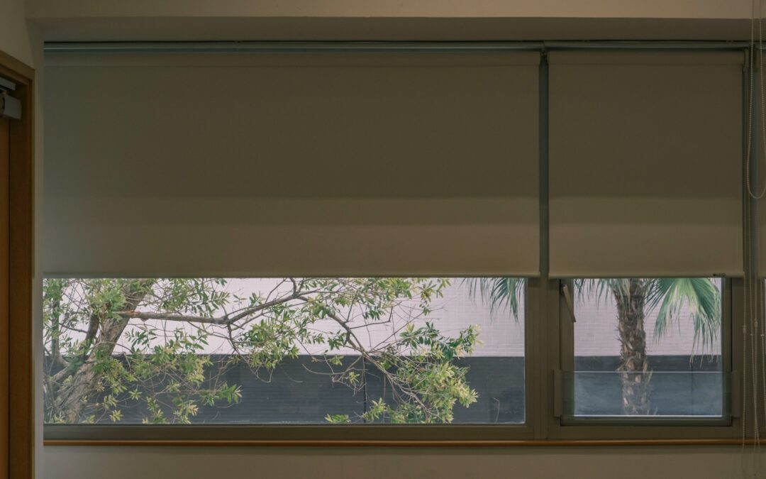 Blackout Shades vs Solar Shades: Which Window Treatment Is Right for Your Home?